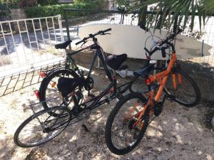 Jazda na bicykli v okolí ubytovania Joja Apartment Peljesac