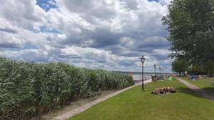 Fotografia z galérie ubytovania Noemi's Cottage v destinácii Balatongyörök