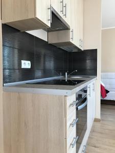 a kitchen with a sink and wooden cabinets at Plażowa klatka 5P -wewnętrzne podwórko- Apartament 5P, piętro I in Rowy