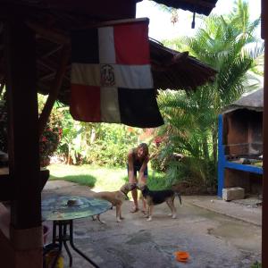 Gestir sem dvelja á Le BDM PLAYITA