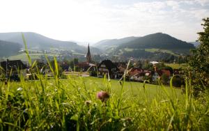 a green field with a town and mountains in the background at Panoramahotel Berghof in Baiersbronn