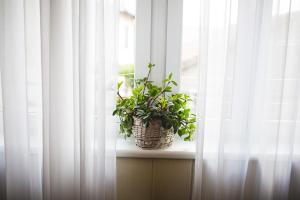 Фотография из галереи Apartment Ema в Шибенике