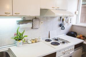 Кухня или мини-кухня в Apartment Ema
