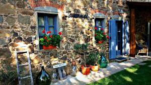 Κήπος έξω από το Agriturismo Tananei