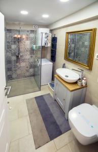 een badkamer met een douche, een toilet en een wastafel bij Emma appartment in Poreč