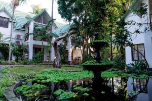 un jardín frente a un edificio con una fuente en St Lucia Eco Lodge, en St Lucia