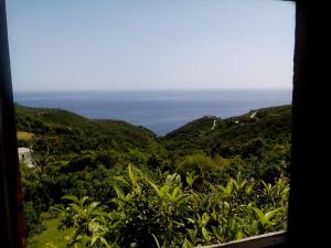 a view of the ocean from a hill with trees at Nightingale Cottage Pelion in Kalamaki