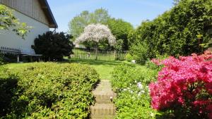 einen Garten mit rosa Blumen und einem Zaun in der Unterkunft Lardinois vakantieverhuur in Beutenaken