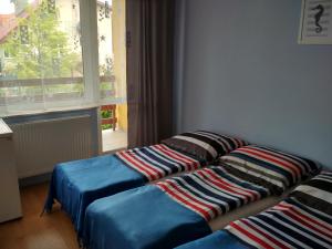 two beds sitting next to a window in a room at Słoneczne Uroczysko in Międzywodzie