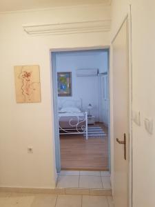 Fotografie z fotogalerie ubytování Apartments Andrea v Šibeniku