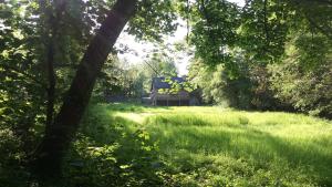 een grasveld met een huis op de achtergrond bij L'Etang in Val Couesnon