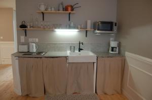 een keuken met een wastafel en een magnetron bij Beaune Residence appartement in Beaune