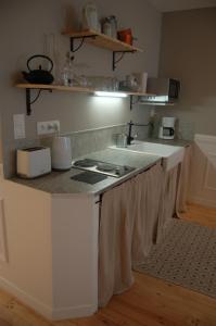een keuken met een wastafel en een aanrecht bij Beaune Residence appartement in Beaune