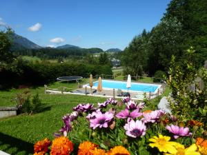 a garden with flowers and a swimming pool at Pension Steinbräu in Faistenau