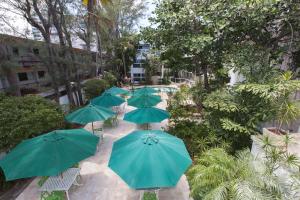 Zahrada ubytování Premiere Hotel