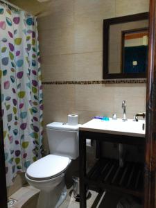 Un baño con inodoro, lavabo y espejo. en Nothofagus Bed & Breakfast, en El Chaltén 74 fotos más