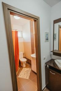 a bathroom with a toilet and a shower at Casa Dan & Lili in Şura Mică