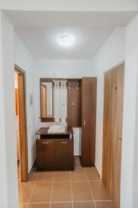 uma casa de banho com um lavatório e um espelho em Casa Dan & Lili em Şura Mică