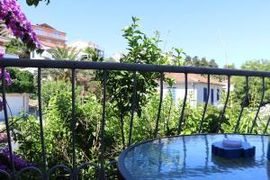 Zahrada ubytování Apartments Milatic