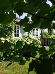 ein grünes Haus mit einem Fenster und Büschen in der Unterkunft Romantisch Huisje nabij het strand in Julianadorp