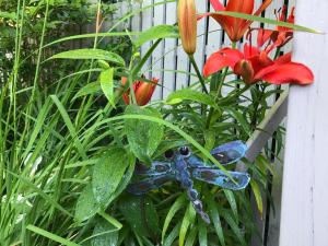 Gallery image of Dragonfly Guest House in Ogunquit