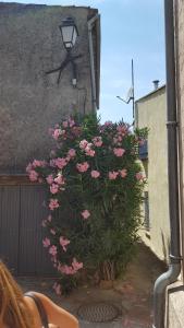 Fotografie z fotogalerie ubytování La petite châtaigne de Collobrières v destinaci Collobrières