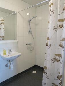 Koupelna v ubytování Dilksnes Guesthouse
