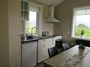 Kuchyň nebo kuchyňský kout v ubytování Dilksnes Guesthouse