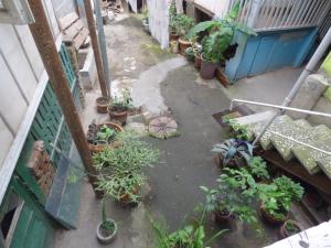 Zahrada ubytování Tbilisi Guest House