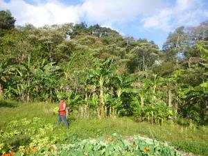 Gallery image of Finca Lindos Ojos in Estelí