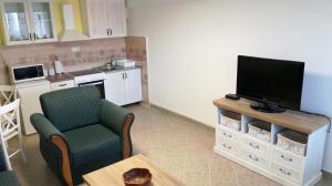 a living room with a television and a kitchen at Apartment Aqua Royal in Arandelovac