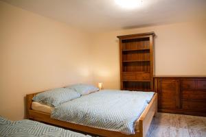a bedroom with a bed and a book shelf at Burg nad Banskou Štiavnicou in Štiavnické Bane
