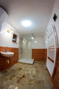 a bathroom with a shower and a sink at Burg nad Banskou Štiavnicou in Štiavnické Bane
