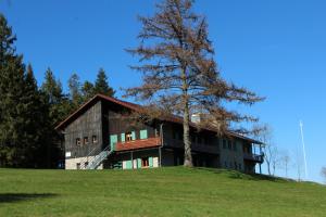 dom na szczycie wzgórza z drzewem w obiekcie Gasthof Schwarzwaldtanne w mieście Schönwald