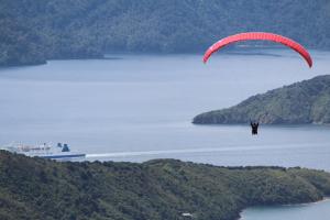 a kite flying over a body of water at Atlantis Backpackers in Picton