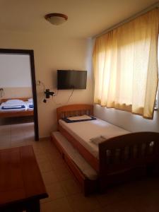 1 dormitorio con cama, TV y espejo en VLSB Apartments, en Petrovac na Moru