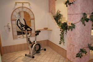 Fitness centrum a/nebo fitness zařízení v ubytování Apart Garni Romantica