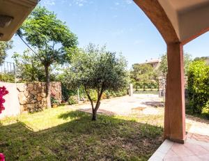 ムルタ・マリアにあるResidence degli uliviの木と石の壁のある庭
