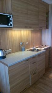 a kitchen with wooden cabinets and a sink at Curonian Coast studio in Nida