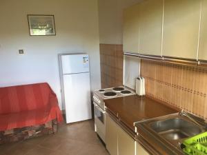 Kuchyň nebo kuchyňský kout v ubytování Apartments Ankica