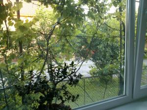 Um jardim no exterior de Villa Svalyavа