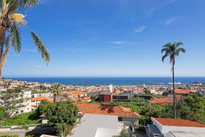 a view of a city with palm trees and the ocean at Pina I by An Island Apart in Funchal