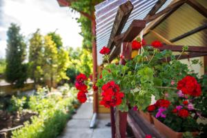 Φωτογραφία από το άλμπουμ του Casa Andreea σε Suceviţa