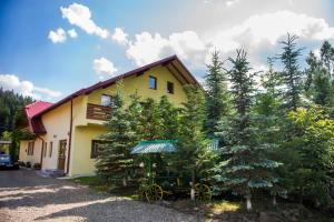 Φωτογραφία από το άλμπουμ του Casa Andreea σε Suceviţa