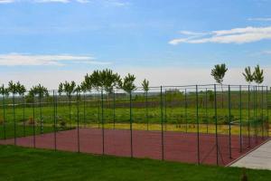 Φωτογραφία από το άλμπουμ του Pensiunea Georgia σε Lunguleţu