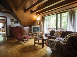 Casa Pepe في فييا: غرفة معيشة مع أريكة وتلفزيون