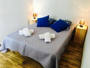 1 dormitorio con 1 cama con almohadas azules y blancas en Chez marinette en Le Cailar