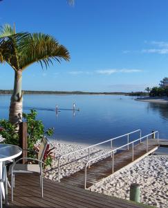 uma doca com uma palmeira ao lado de um corpo de água em Skippers Cove Waterfront Resort em Noosaville