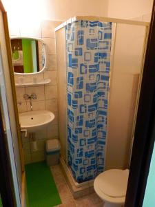 a bathroom with a shower curtain and a toilet at Hotel Puk in Topoľčany