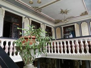 Gallery image of Irma in Sighnaghi